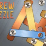 Screw Puzzle: Remove Every Bolt with Logic and Smart Planning
